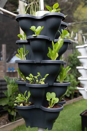 Tower Gardens - Verti Gro Australia