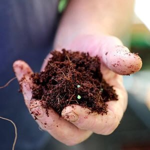 Nutrients - Verti Gro Australia