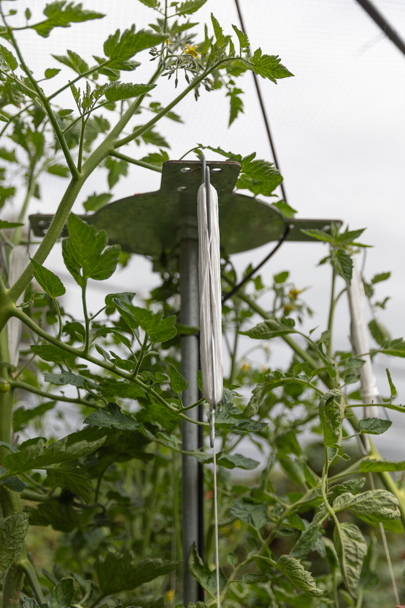 Vertical Tomato Tower Kit Verti Gro Australia