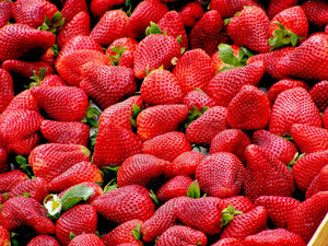 Growing Strawberries Part 1