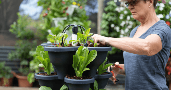 Growing Your Own Eden: Creating a Paradise with 5-Tier Vertical Gardens