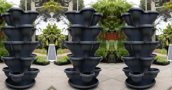 Vertical Planters for Edible Gardens: Growing Fresh Produce on Your Verandah