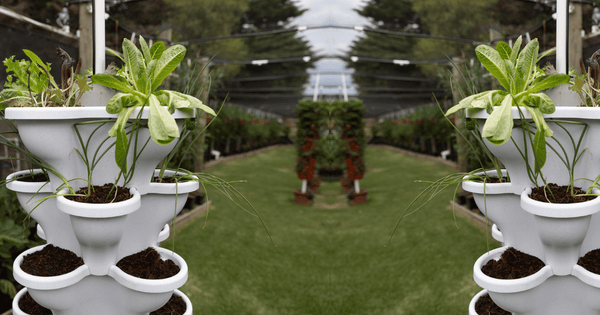 Elevating Your Garden: How 3-Tier Vertical Garden Kits Save Space