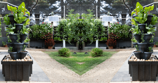 From Wasted Space to Garden Grace: Utilising Vacant Space and Walls with 5-Tier Gardens