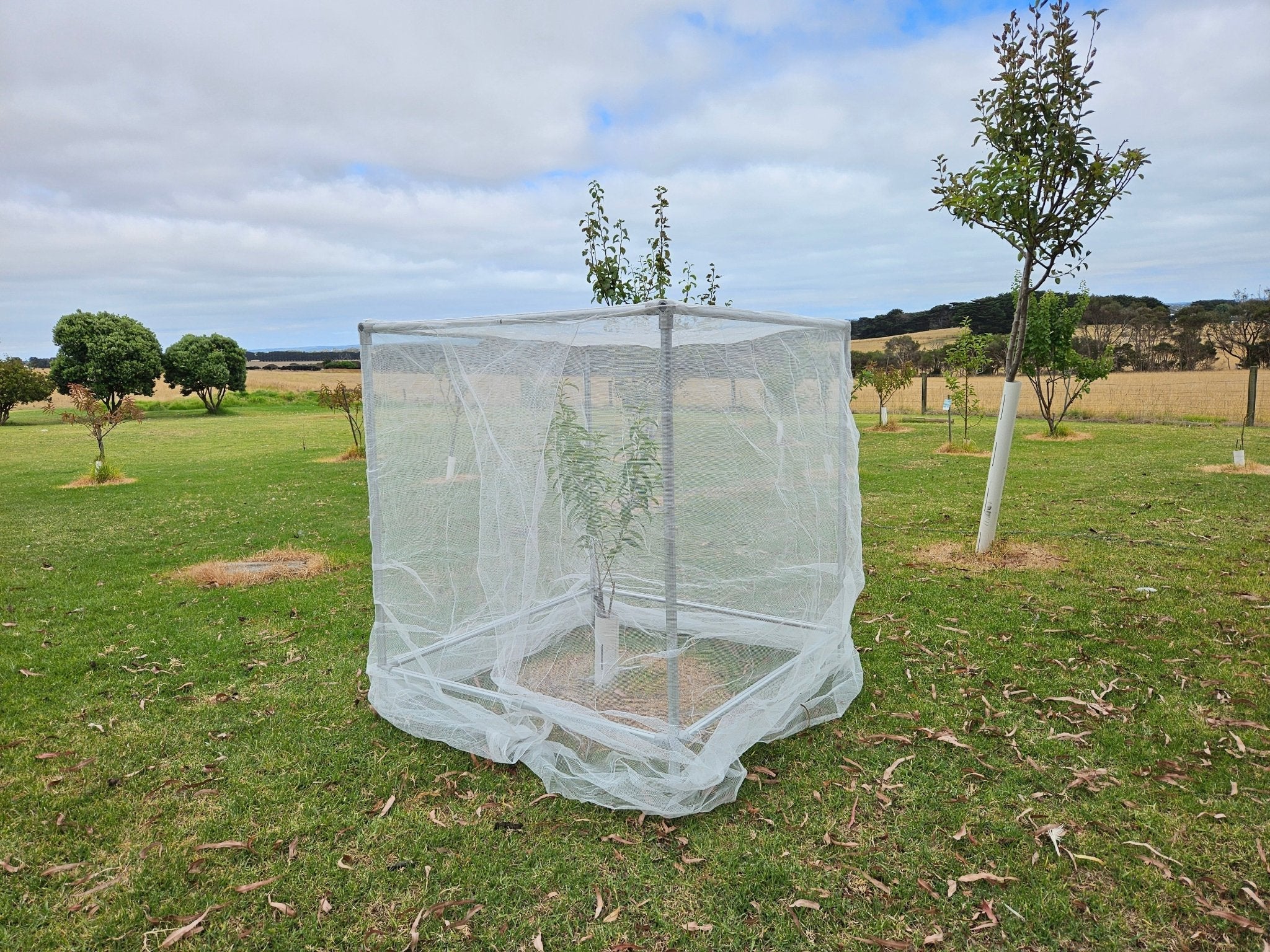 Tree Protection Netting Covers