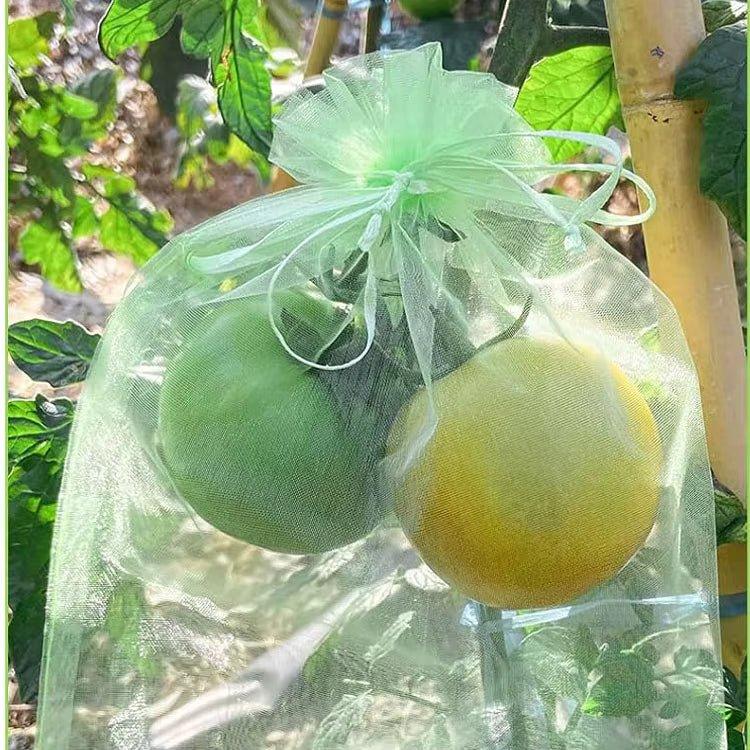 Fruit Protection Bags