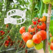 Tomato Clips and Hooks