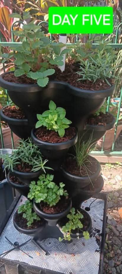 Solar Eco Farm 5 Tier Extra Large  47.5cm Planters