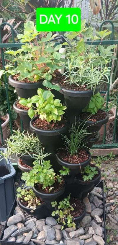Solar Eco Farm 5 Tier Extra Large  47.5cm Planters