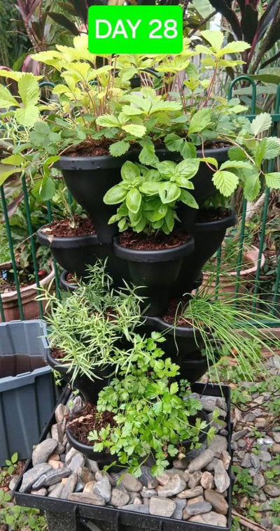Solar Eco Farm 5 Tier Extra Large  47.5cm Planters