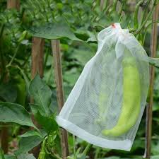 Fruit Protection Bags Mixed Sizes 40 Bags in total   (9cm x 12)     (10cm x 15)     (15cm x 20)      (20cm x 30cm)