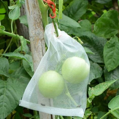 Fruit Protection Bags 20 per pack