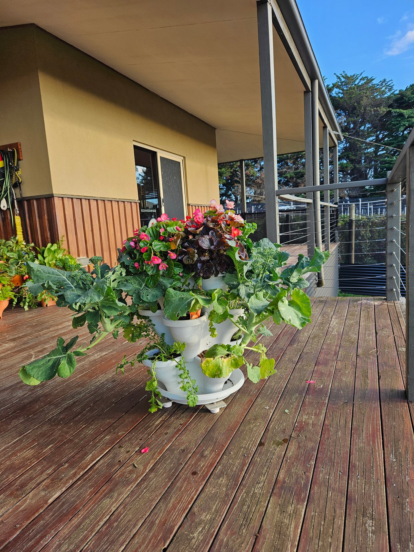 5 Tier Extra Large Verandah Planter BLACK FRIDAY SPECIAL NOW ON SAVE $10