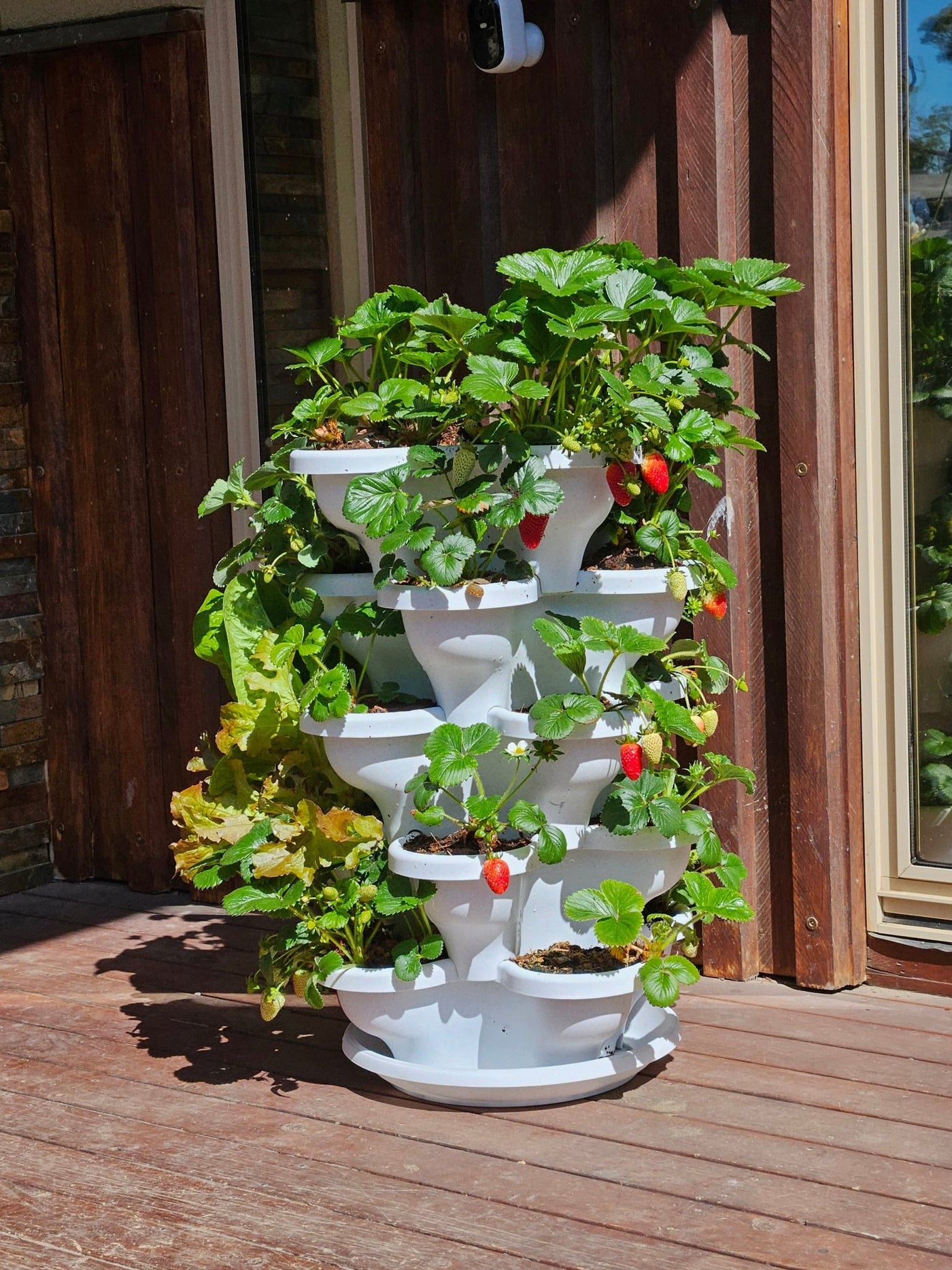 5 Tier Extra Large Vertical Garden Planters. – Verti Gro Australia