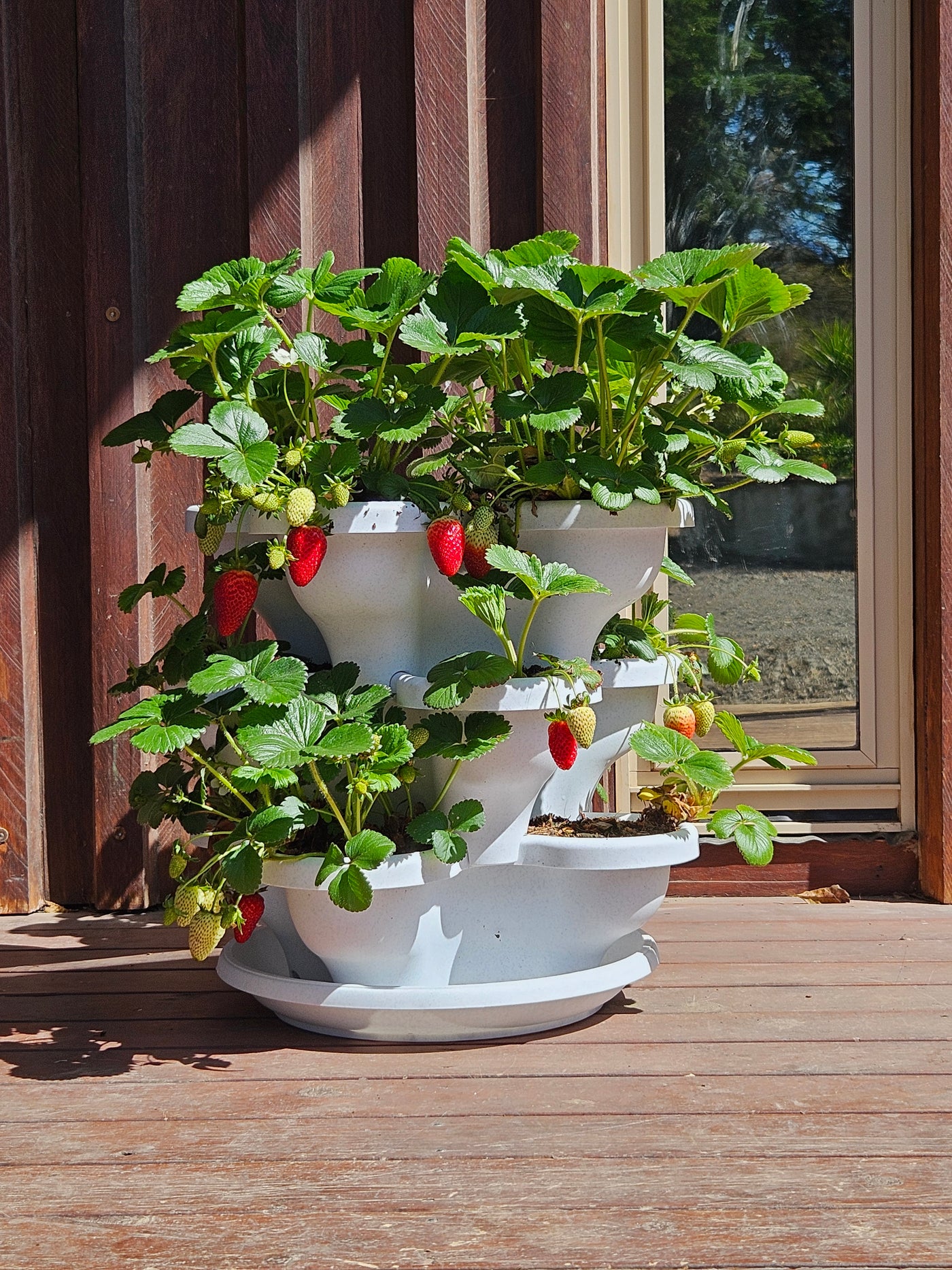 3 Tier Extra Large Verandah Planter