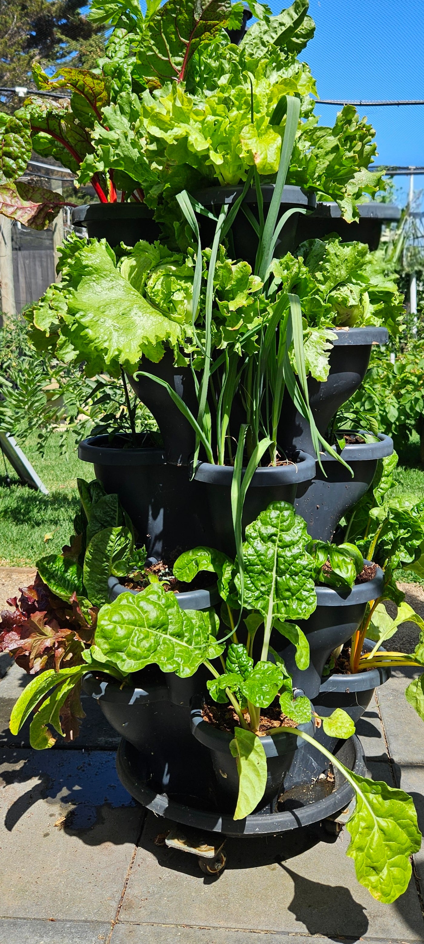 3 Tier Extra Large Verandah Planter