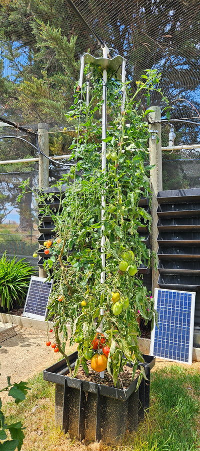 Vertical Tomato Tower Garden