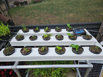 1M x 3 Channel Vegie Bench 18 Growing Locations