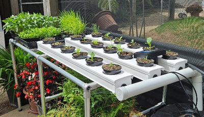 1M x 3 Channel Vegie Bench 18 Growing Locations