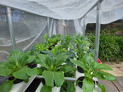 1M x 3 Channel Vegie Bench 18 Growing Locations