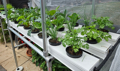 1M x 3 Channel Vegie Bench 18 Growing Locations