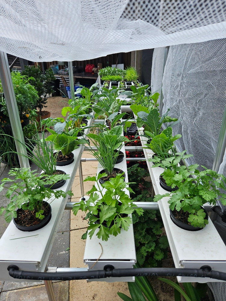 1M x 3 Channel Vegie Bench 18 Growing Locations