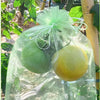 Fruit Protection Bags Mixed Sizes 40 Bags in total   (9cm x 12)     (10cm x 15)     (15cm x 20)      (20cm x 30cm)