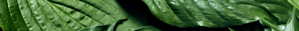 Contact Us – Verti Gro Australia