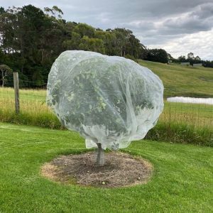 6.0m Wide Insect Netting Various Set Lengths (White Only)