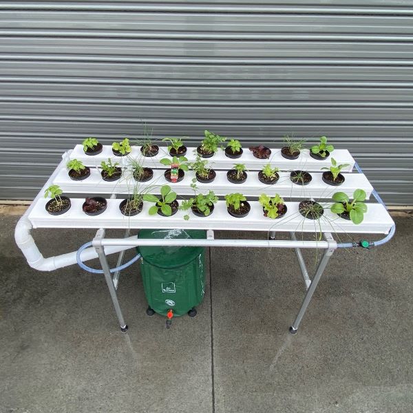 1M x 3 Channel Vegie Bench 18 Growing Locations