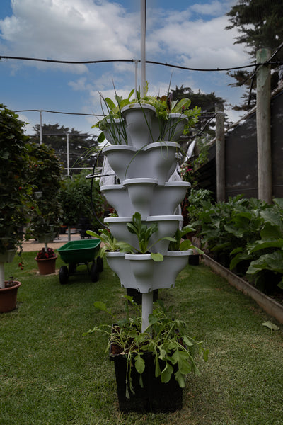Fully Automated Tower Garden x 3