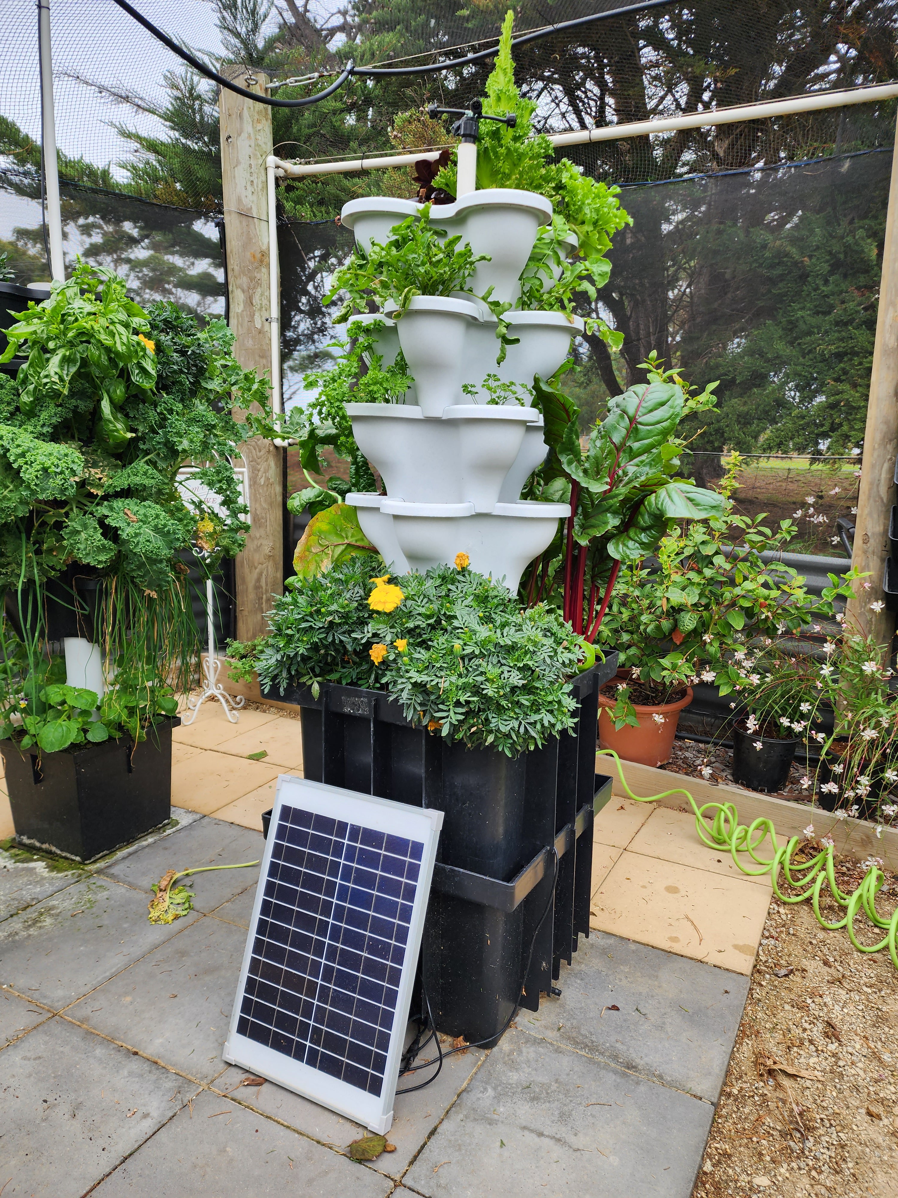 Twin Tank Eco Farm Solar