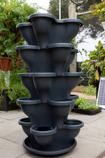 Load image into Gallery viewer, 5 Tier Extra Large Verandah Planter Garden Kit (Inc Coir, Nutrient and Bardee Superfly Organic Booster)
