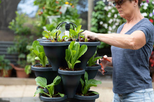 5 Tier Extra Large Verandah Planter Garden Kit (Inc Coir, Nutrient and Bardee Superfly Organic Booster)