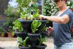 Load image into Gallery viewer, 3 Tier Extra Large Verandah Planter
