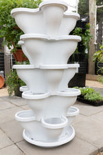Load image into Gallery viewer, 5 Tier Extra Large Verandah Planter

