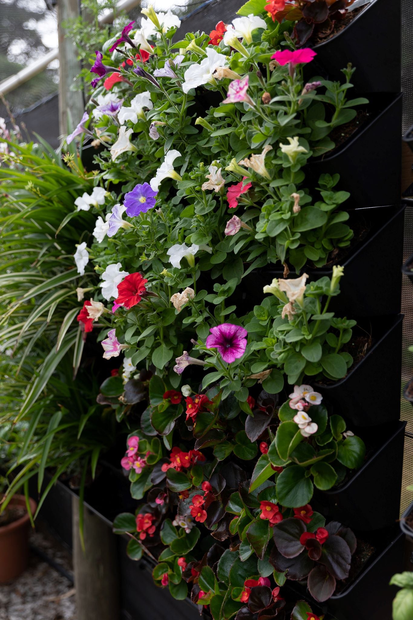 Wall Garden